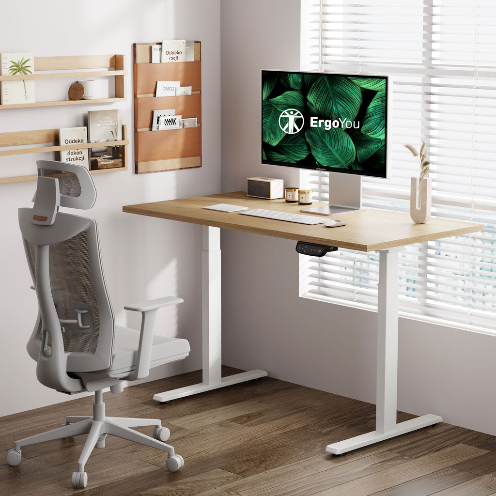 Dual Motor | Height-Adjustable Standing Desk (2 Stage) | E4 Series ...